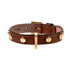 Stud Screw Leather Dog Collar Brown