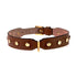 Stud Screw Leather Dog Collar Brown