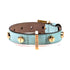 Stud Screw Leather Dog Collar Cloud