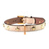 Stud Star Leather Dog Collar Antique