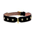 Stud Star Leather Dog Collar Black