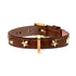 Stud Star Leather Dog Collar Brown