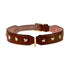 Stud Star Leather Dog Collar Brown
