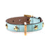 Stud Star Leather Dog Collar Cloud