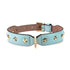 Stud Star Leather Dog Collar Cloud