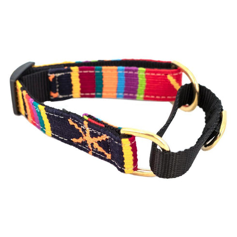 Sun Valley Holiday Martingale Dog Collar
