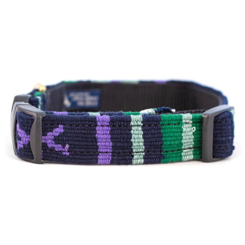 Sun Valley Night Side Release Dog Collar