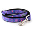 Sunburst Purple Dog Collar