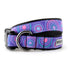 Sunburst Purple Dog Collar