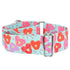 Sweet Sprinkles Heart EarthStyle Dog Collar
