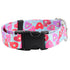 Sweet Sprinkles Heart EarthStyle Dog Collar