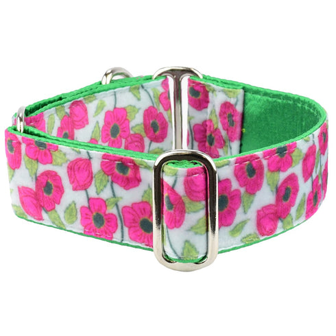 Swiss Velvet Dog Collar Bold Poppies
