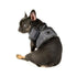 Terry Dog Harness B