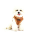 Terry Dog Harness B
