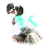The Madeleine Dog Dress With Aqua Sash