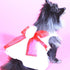 The Madeleine Dog Dress With Red Sash