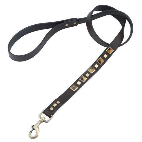 Tiger Eye Rock And Roll Dog Leash
