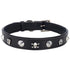 Tuffy Leather Dog Collar