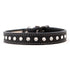 Tuscan Leather Crystallized Dog Collar Black