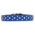 Tuscan Leather Crystallized Dog Collar Cobalt Blue