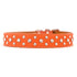 Tuscan Leather Crystallized Dog Collar Orange