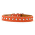 Tuscan Leather Crystallized Dog Collar Orange