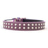 Tuscan Leather Crystallized Dog Collar Purple