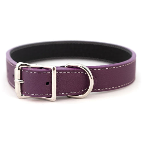 Tuscan Leather Dog Collar Purple