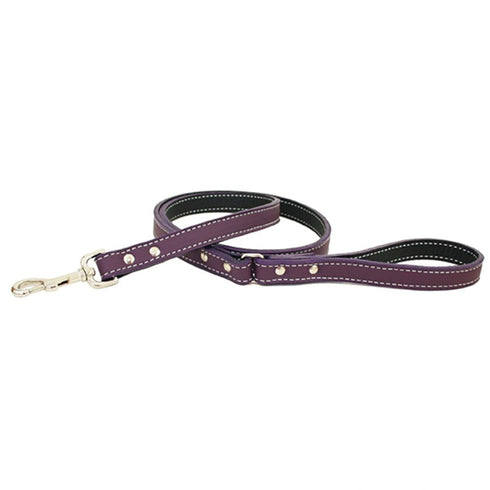 Tuscan Leather Dog Leash Purple