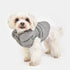 Ultralight Dog Vest A