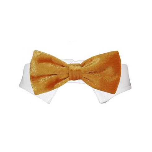 Valentino Dog Bow Tie Collar Gold