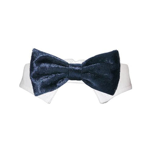 Valentino Dog Bow Tie Collar Navy
