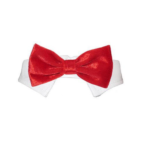 Valentino Dog Bow Tie Collar Red