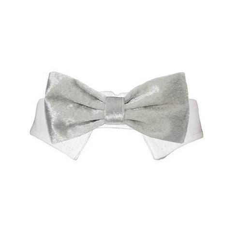 Valentino Dog Bow Tie Collar Silver