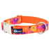 Velvet Essential 1" Dog Collar Gerbera Daisy