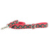 Velvet Essential 1" Dog Collar Poinsettia Holiday