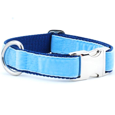 Velvet Essential Dog Collar Light Blue/Navy Holiday