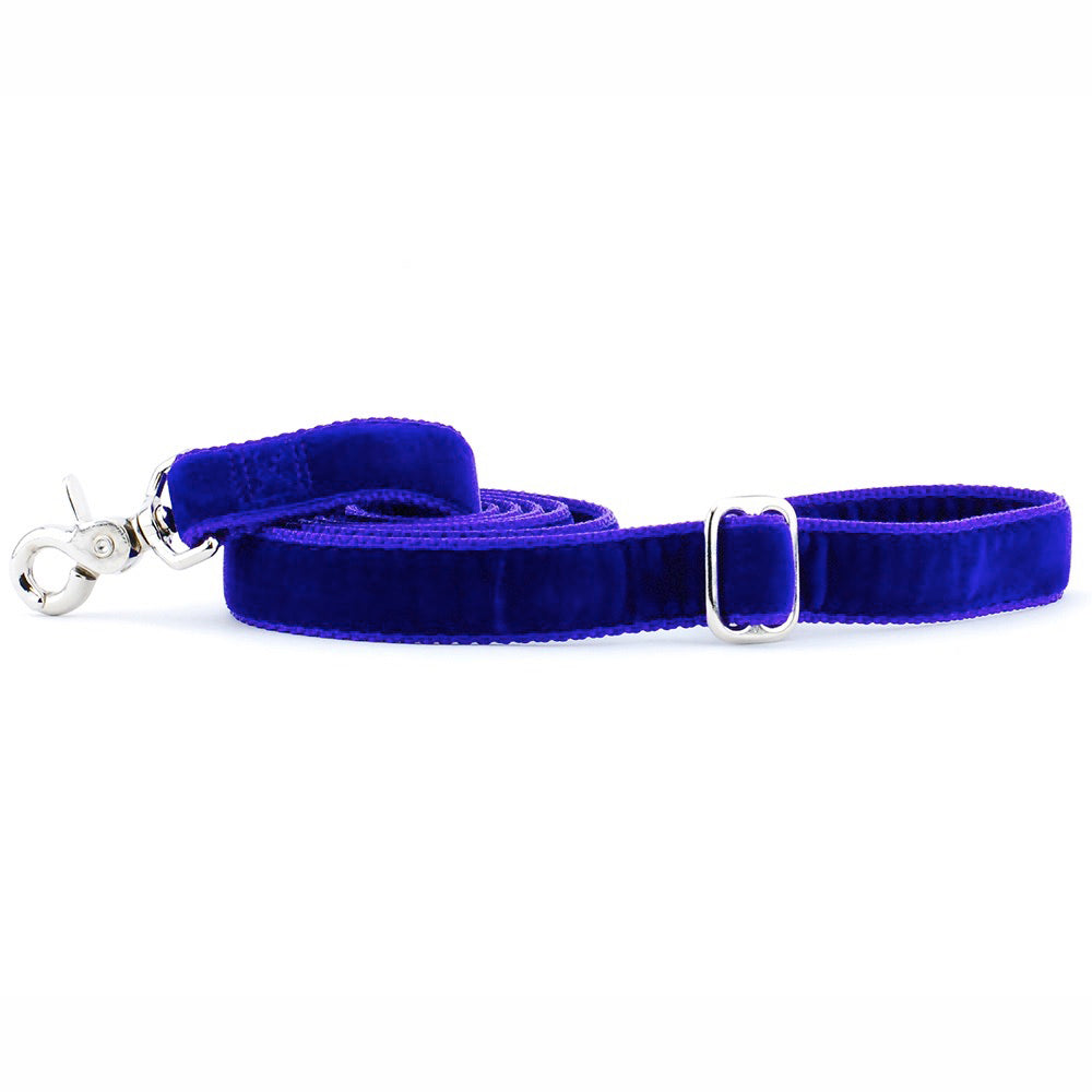 Velvet Essential Dog Collar Purple Bitch New York