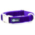 Velvet Essential Dog Collar Purple