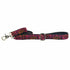 Velvet Essential Dog Collar Wild Kitty
