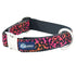 Velvet Essential Dog Collar Wild Kitty