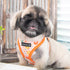 Vinca Dog Harness A Orange Medium