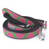 Watermelon Dog Collar