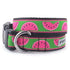 Watermelon Dog Collar
