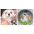 Whimsical Custom Portrait Dog Bowl