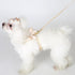 White Pearl Dog Harness