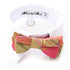 White Shirt Collar With Coral/Lime Dog Bow Tie