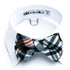 White Shirt Collar With Navy/White Madras Dog Bow Tie