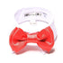 White Shirt Collar With Red Dog Bow Tie