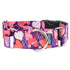 Wild Hearts EarthStyle Dog Collar